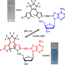 Thumbnail image of graphical abstract